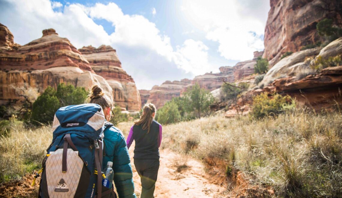 The Travel and Tourism Industry